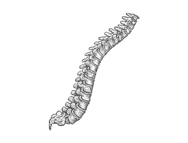 Brain Spinal Cord Injury Image